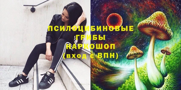 apvp Алексин