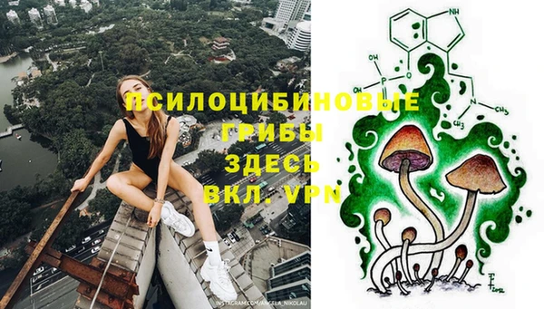 круглые Алзамай
