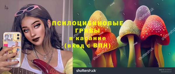 apvp Алексин