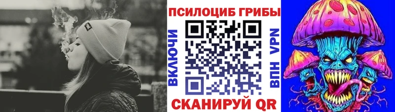 как найти наркотики  Краснознаменск  Псилоцибиновые грибы прущие грибы 